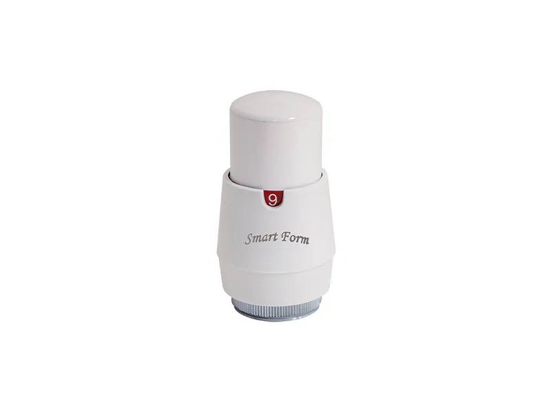 1701 SMART 800x600 webp